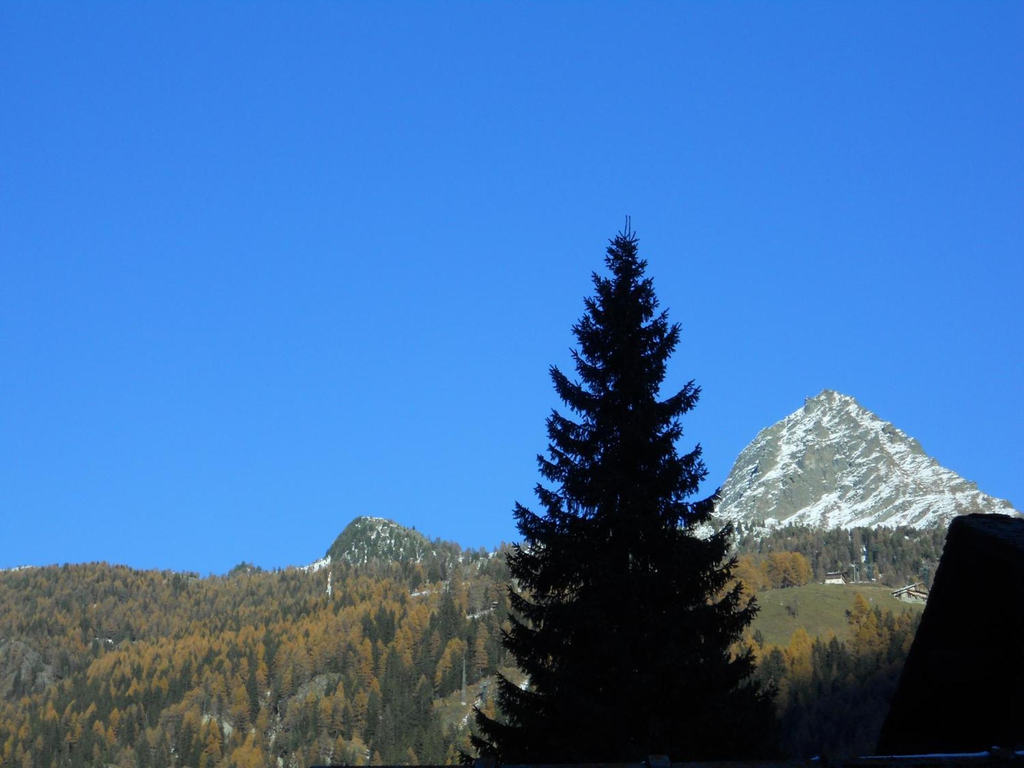 Affittacamere Petit Coeur Champoluc Eksteriør billede