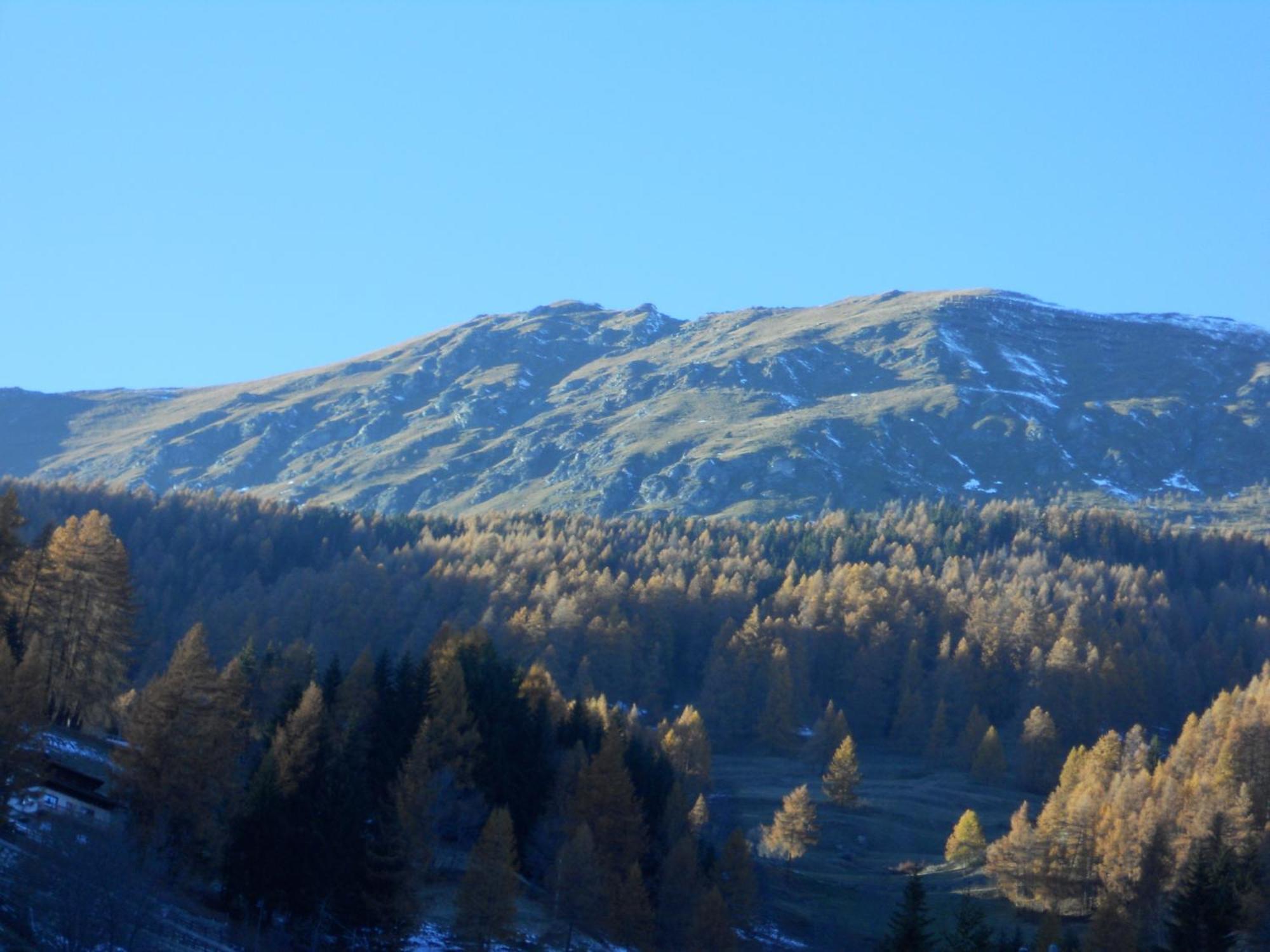 Affittacamere Petit Coeur Champoluc Eksteriør billede
